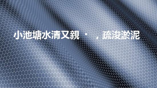 小池塘水清又親，疏浚淤泥通民心